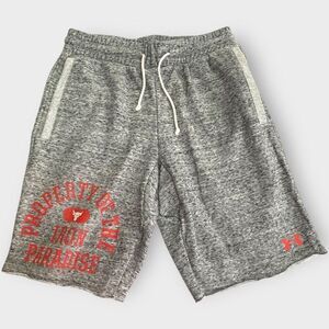 Under Armour UA Mens Project Rock Gray Terry Statement Shorts size Medium NWT